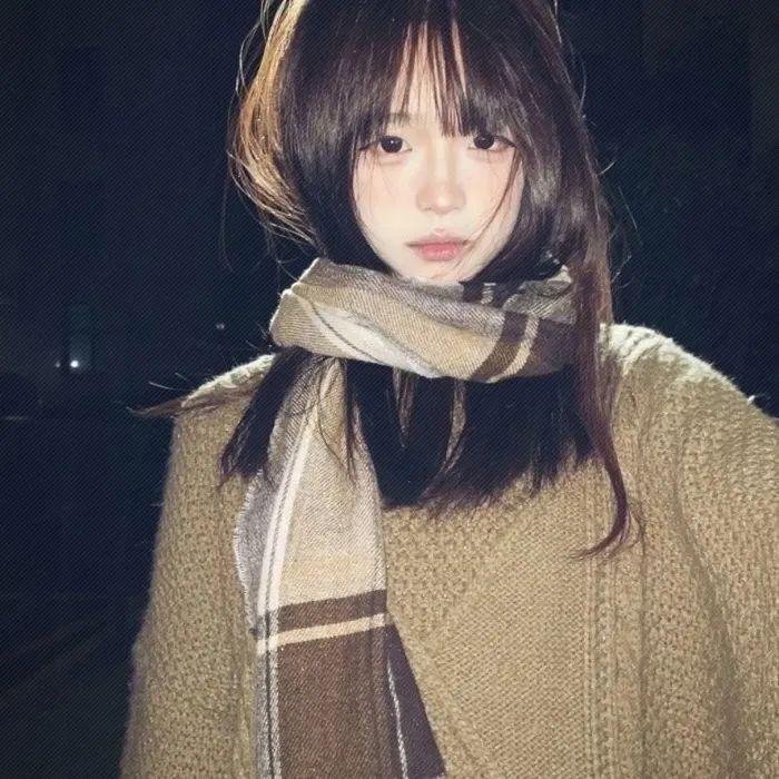 大明星醒目狗